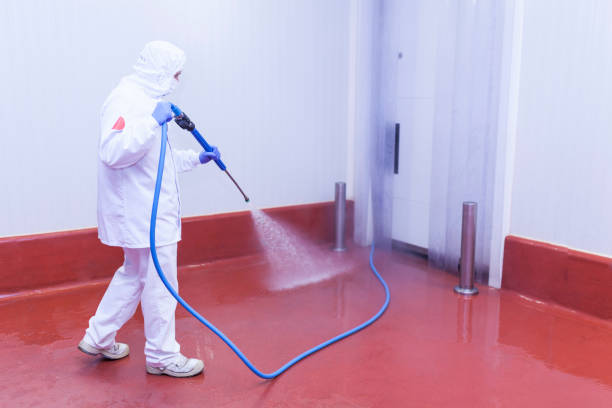 Best Warehouse Cleaning  in Ridgewood, NJ